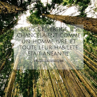 Picture 07 - Psaumes 107:27 LSG - Saisis de vertige, ils chancelaient comme un - Bible Verse Picture