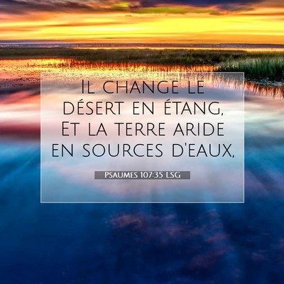 Picture 07 - Psaumes 107:35 LSG - Il change le désert en étang, Et la terre aride - Bible Verse Picture