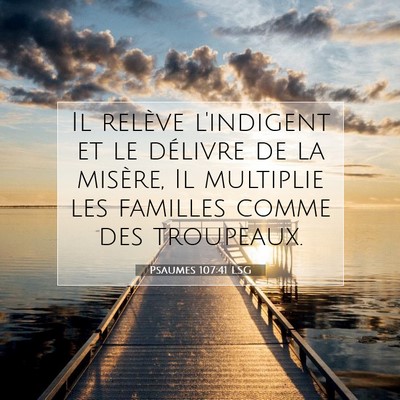 Picture 07 - Psaumes 107:41 LSG - Il relève l'indigent et le délivre de la - Bible Verse Picture