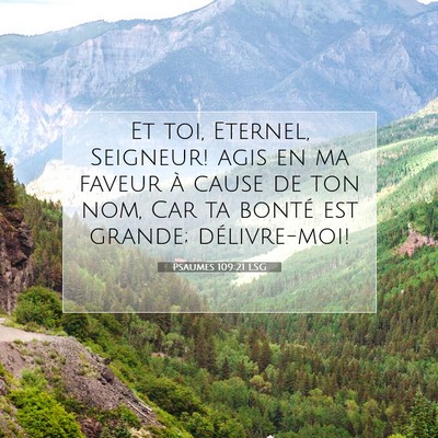 Picture 07 - Psaumes 109:21 LSG - Et toi, Eternel, Seigneur! agis en ma faveur à - Bible Verse Picture