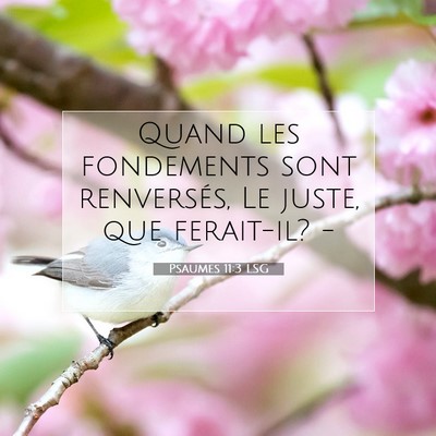 Picture 07 - Psaumes 11:3 LSG - Quand les fondements sont renversés, Le juste, - Bible Verse Picture