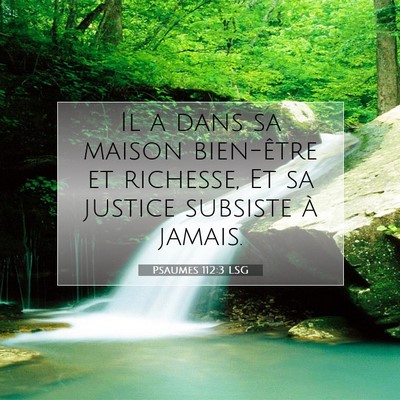 Picture 07 - Psaumes 112:3 LSG - Il a dans sa maison bien-être et richesse, Et sa - Bible Verse Picture