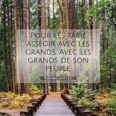 Picture 07 - Psaumes 113:8 LSG - Pour les faire asseoir avec les grands, Avec les - Bible Verse Picture