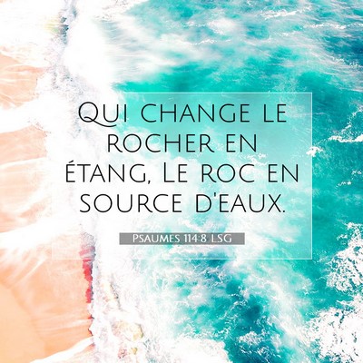 Picture 07 - Psaumes 114:8 LSG - Qui change le rocher en étang, Le roc en source - Bible Verse Picture