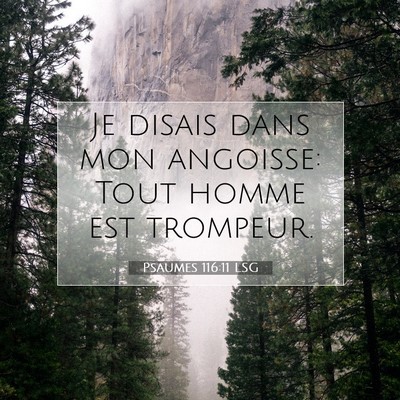 Picture 07 - Psaumes 116:11 LSG - Je disais dans mon angoisse: Tout homme est - Bible Verse Picture