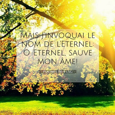Picture 07 - Psaumes 116:4 LSG - Mais j'invoquai le nom de l'Eternel: O Eternel, - Bible Verse Picture