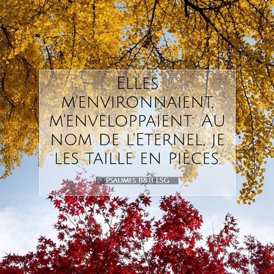 Picture 07 - Psaumes 118:11 LSG - Elles m'environnaient, m'enveloppaient: Au nom de - Bible Verse Picture