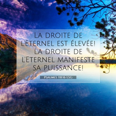 Picture 07 - Psaumes 118:16 LSG - La droite de l'Eternel est élevée! La droite de - Bible Verse Picture