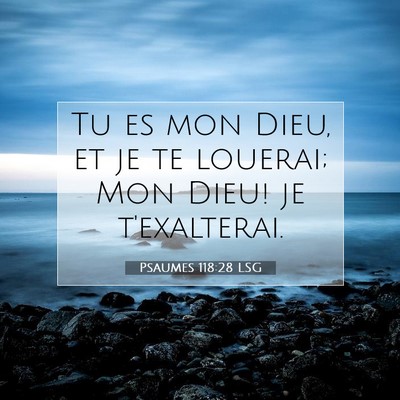 Picture 07 - Psaumes 118:28 LSG - Tu es mon Dieu, et je te louerai; Mon Dieu! je - Bible Verse Picture