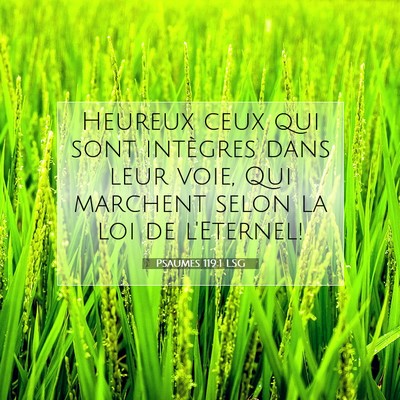 Picture 07 - Psaumes 119:1 LSG - Heureux ceux qui sont intègres dans leur voie, - Bible Verse Picture