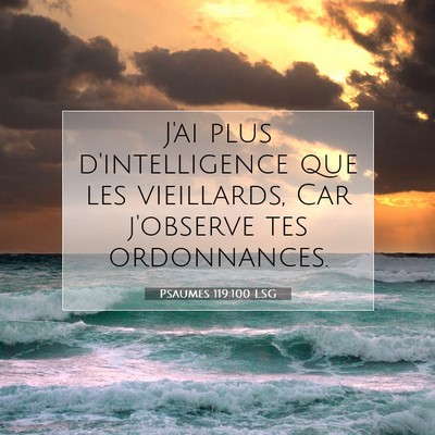 Picture 07 - Psaumes 119:100 LSG - J'ai plus d'intelligence que les vieillards, Car - Bible Verse Picture