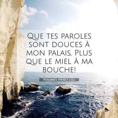 Picture 07 - Psaumes 119:103 LSG - Que tes paroles sont douces à mon palais, Plus - Bible Verse Picture