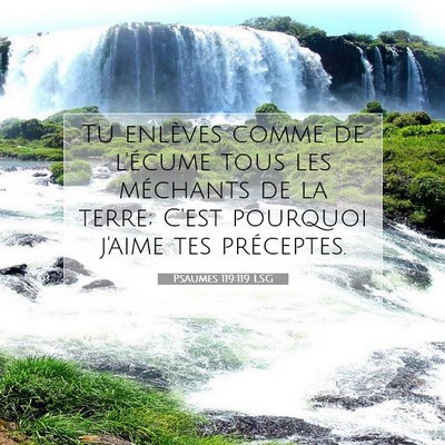 Picture 07 - Psaumes 119:119 LSG - Tu enlèves comme de l'écume tous les méchants - Bible Verse Picture