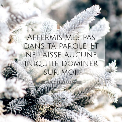 Picture 07 - Psaumes 119:133 LSG - Affermis mes pas dans ta parole, Et ne laisse - Bible Verse Picture