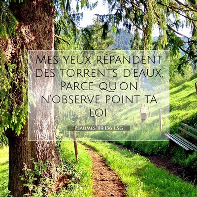 Picture 07 - Psaumes 119:136 LSG - Mes yeux répandent des torrents d'eaux, Parce - Bible Verse Picture