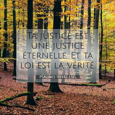 Picture 07 - Psaumes 119:142 LSG - Ta justice est une justice éternelle, Et ta loi - Bible Verse Picture