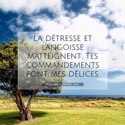 Picture 07 - Psaumes 119:143 LSG - La détresse et l'angoisse m'atteignent: Tes - Bible Verse Picture