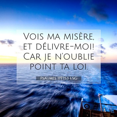 Picture 07 - Psaumes 119:153 LSG - Vois ma misère, et délivre-moi! Car je n'oublie - Bible Verse Picture