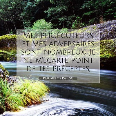 Picture 07 - Psaumes 119:157 LSG - Mes persécuteurs et mes adversaires sont - Bible Verse Picture