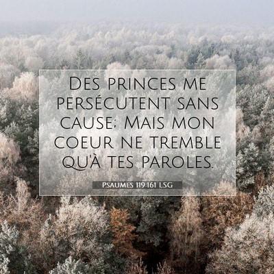 Picture 07 - Psaumes 119:161 LSG - Des princes me persécutent sans cause; Mais mon - Bible Verse Picture