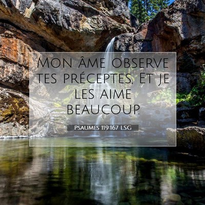 Picture 07 - Psaumes 119:167 LSG - Mon âme observe tes préceptes, Et je les aime - Bible Verse Picture