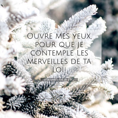 Picture 07 - Psaumes 119:18 LSG - Ouvre mes yeux, pour que je contemple Les - Bible Verse Picture