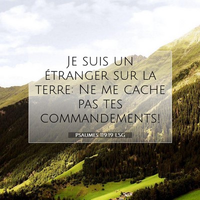 Picture 07 - Psaumes 119:19 LSG - Je suis un étranger sur la terre: Ne me cache - Bible Verse Picture