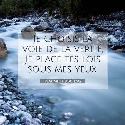 Picture 07 - Psaumes 119:30 LSG - Je choisis la voie de la vérité, Je place tes - Bible Verse Picture