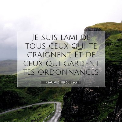 Picture 07 - Psaumes 119:63 LSG - Je suis l'ami de tous ceux qui te craignent, Et - Bible Verse Picture