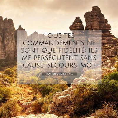Picture 07 - Psaumes 119:86 LSG - Tous tes commandements ne sont que fidélité; - Bible Verse Picture