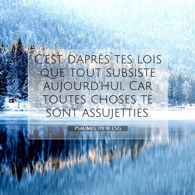 Picture 07 - Psaumes 119:91 LSG - C'est d'après tes lois que tout subsiste - Bible Verse Picture