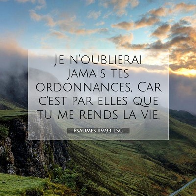 Picture 07 - Psaumes 119:93 LSG - Je n'oublierai jamais tes ordonnances, Car c'est - Bible Verse Picture