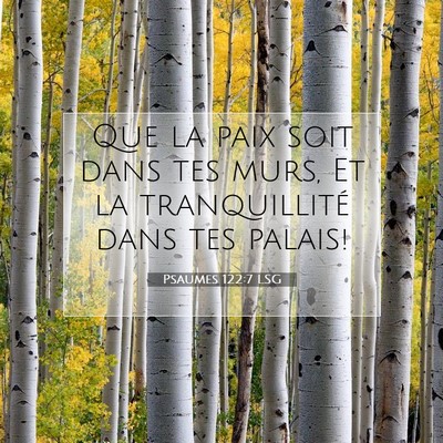 Picture 07 - Psaumes 122:7 LSG - Que la paix soit dans tes murs, Et la - Bible Verse Picture