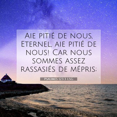 Picture 07 - Psaumes 123:3 LSG - Aie pitié de nous, Eternel, aie pitié de nous! - Bible Verse Picture