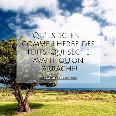 Picture 07 - Psaumes 129:6 LSG - Qu'ils soient comme l'herbe des toits, Qui sèche - Bible Verse Picture