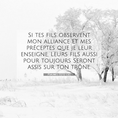 Picture 07 - Psaumes 132:12 LSG - Si tes fils observent mon alliance Et mes - Bible Verse Picture