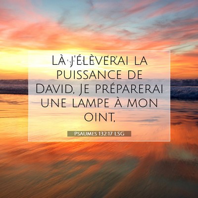 Picture 07 - Psaumes 132:17 LSG - Là j'élèverai la puissance de David, Je - Bible Verse Picture