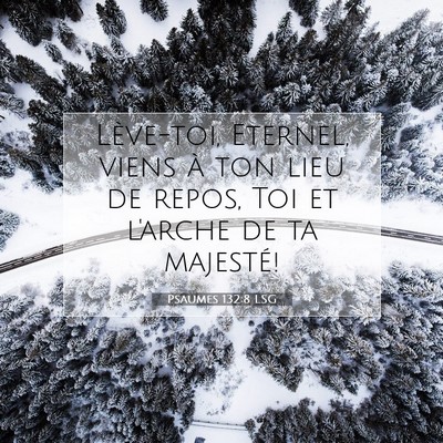 Picture 07 - Psaumes 132:8 LSG - Lève-toi, Eternel, viens à ton lieu de repos, - Bible Verse Picture