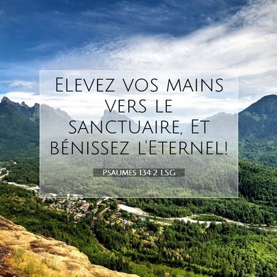 Picture 07 - Psaumes 134:2 LSG - Elevez vos mains vers le sanctuaire, Et bénissez - Bible Verse Picture