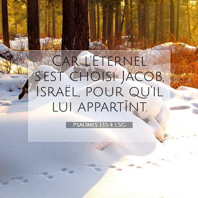 Picture 07 - Psaumes 135:4 LSG - Car l'Eternel s'est choisi Jacob, Israël, pour - Bible Verse Picture