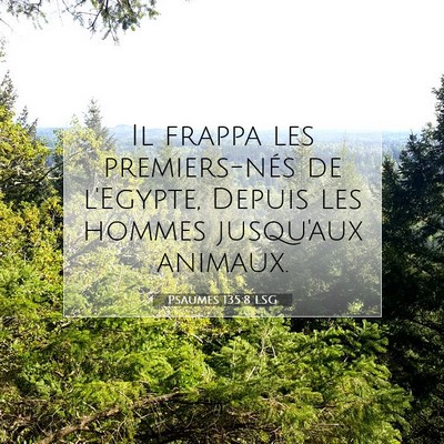 Picture 07 - Psaumes 135:8 LSG - Il frappa les premiers-nés de l'Egypte, Depuis - Bible Verse Picture