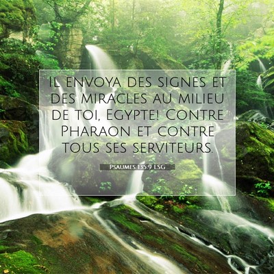 Picture 07 - Psaumes 135:9 LSG - Il envoya des signes et des miracles au milieu de - Bible Verse Picture
