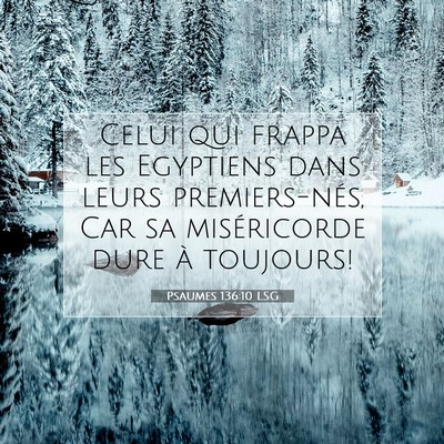 Picture 07 - Psaumes 136:10 LSG - Celui qui frappa les Egyptiens dans leurs - Bible Verse Picture