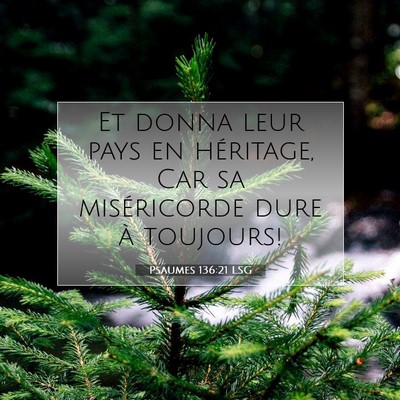 Picture 07 - Psaumes 136:21 LSG - Et donna leur pays en héritage, Car sa - Bible Verse Picture