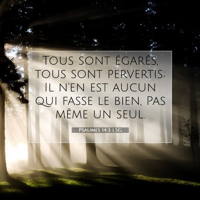 Picture 07 - Psaumes 14:3 LSG - Tous sont égarés, tous sont pervertis; Il n'en - Bible Verse Picture