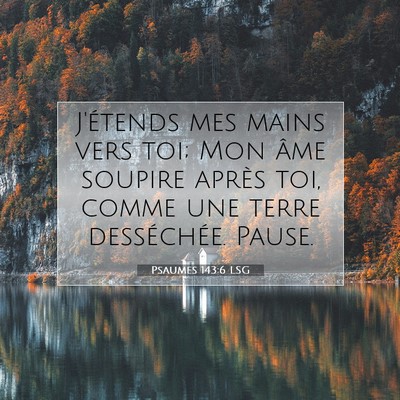 Picture 07 - Psaumes 143:6 LSG - J'étends mes mains vers toi; Mon âme soupire - Bible Verse Picture