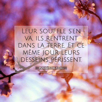 Picture 07 - Psaumes 146:4 LSG - Leur souffle s'en va, ils rentrent dans la terre, - Bible Verse Picture