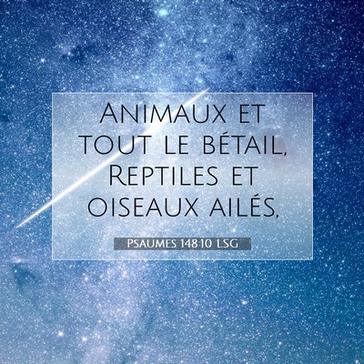 Picture 07 - Psaumes 148:10 LSG - Animaux et tout le bétail, Reptiles et oiseaux - Bible Verse Picture
