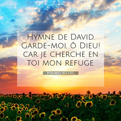 Picture 07 - Psaumes 16:1 LSG - Hymne de David. Garde-moi, ô Dieu! car je - Bible Verse Picture