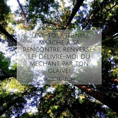 Picture 07 - Psaumes 17:13 LSG - Lève-toi, Eternel, marche à sa rencontre, - Bible Verse Picture